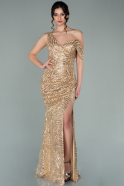Long Gold Evening Dress ABU2151