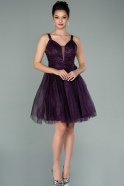 Short Purple Dantelle Evening Dress ABK1231