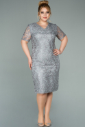 Short Grey Laced Plus Size Evening Dress ABK1288