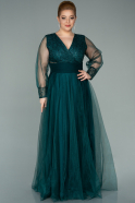 Long Emerald Green Plus Size Evening Dress ABU2196