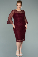 Short Burgundy Dantelle Plus Size Evening Dress ABK1274