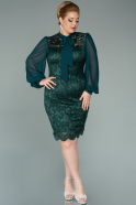 Emerald Green Short Laced Plus Size Evening Dress ABK1136