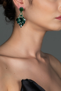 Emerald Green Earring DY498