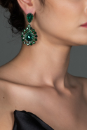 Emerald Green Earring DY499