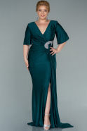 Long Emerald Green Plus Size Evening Dress ABU2441