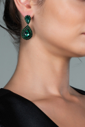 Emerald Green Earring DY476