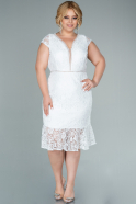 Short White Laced Plus Size Evening Dress ABK1454