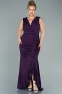 Long Dark Purple Plus Size Evening Dress ABU2535