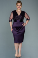 Short Dark Purple Plus Size Evening Dress ABK1524
