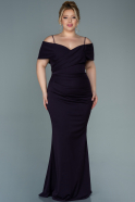 Long Dark Purple Plus Size Evening Dress ABU2682