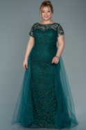 Long Emerald Green Plus Size Evening Dress ABU2698