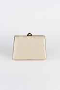 Light Gold Box Bag V249