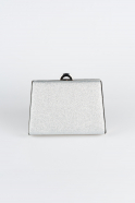Silver Box Bag V249