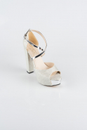 Silver Silvery Evening Shoe ABS1098