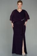Robe de Soirée Grande Taille Longue Violet ABU2857