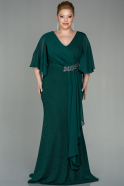 Long Emerald Green Plus Size Evening Dress ABU2863