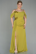 Pistachio Green Long Chiffon Plus Size Evening Dress ABU2929