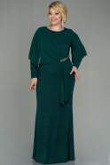 Long Emerald Green Plus Size Evening Dress ABU3013