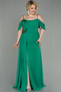 Green Long Chiffon Plus Size Evening Dress ABU2929