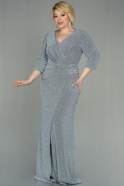 Silver Long Plus Size Evening Dress ABU2922