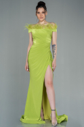 Pistachio Green Long Evening Dress ABU2906