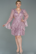 Powder Color Short Dantelle Plus Size Evening Dress ABK1702