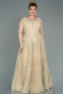 Long Gold Plus Size Evening Dress ABU3411