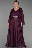 Long Plum Plus Size Evening Dress ABU3278