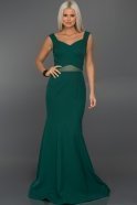 Long Emerald Green Evening Dress ABU083