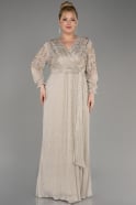 Mink Long Sleeve Glittery Plus Size Evening Dress ABU3988