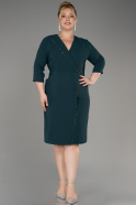 Emerald Green Capri Sleeve Short Plus Size Evening Dress ABK2096