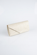 Gold Silvery Evening Bag SH840