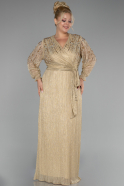 Gold Long Sleeve Glittery Plus Size Evening Dress ABU3988