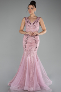 Powder Color Sleeveless Stoned Long Evening Gown ABU4170