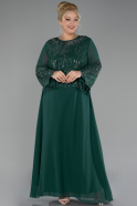 Long Emerald Green Chiffon Plus Size Evening Gown ABU4254