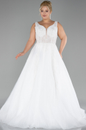 White Sleeveless Embroidered Long Plus Size Wedding Dress ABG017