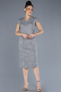 Grey Short Sleeve Guipure Midi Plus Size Invitation Dress ABK2229