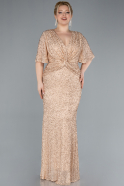 Gold Long Plus Size Evening Gown ABU4542