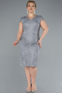 Grey Short Sleeve Guipure Midi Plus Size Invitation Dress ABK2229