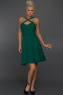 Short Green Evening Dress C8020