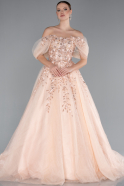 Salmon Boat Neck Embroidered Long Special Design Princess Dress ABU4720