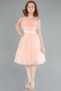 Long Salmon Girl Dress ABU4221