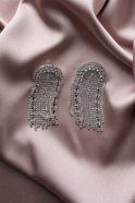 Swarovski Earring DY120