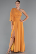 Long Orange Chiffon Prom Gown ABU5259