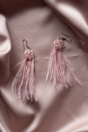 Powder Color Earring TK228