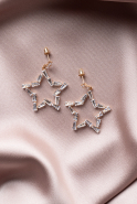 Gold-Rose Earring UK928