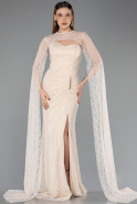 Long Beige Dantelle Evening Dress ABU5614
