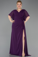 Plum Long Chiffon Plus Size Evening Dress ABU4911