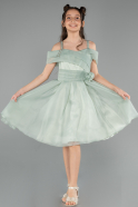 Short Mint Girl Dress ABK2565