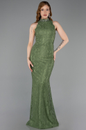 Long Olive Drab Dantelle Evening Dress ABU5987